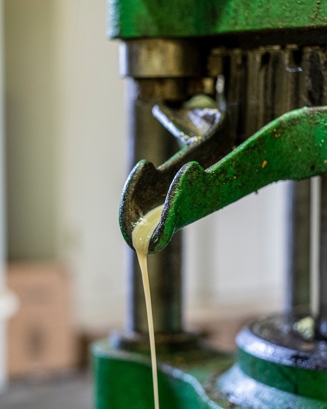 Huilerie Beaujolaise Moulin historique atelier de Beaujeu