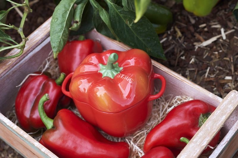 cocotte en forme de poivron