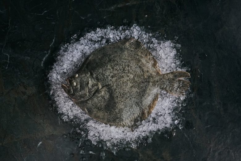 Neptura