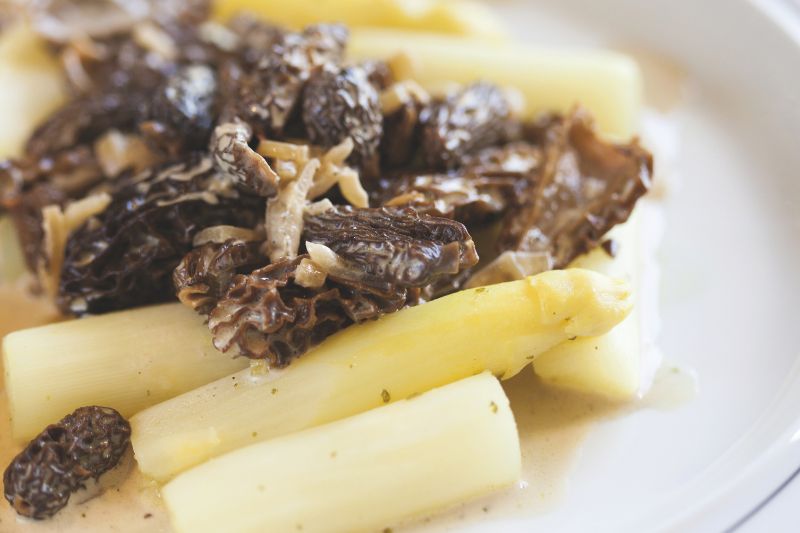 Asperges blanches d’Alsace et morilles