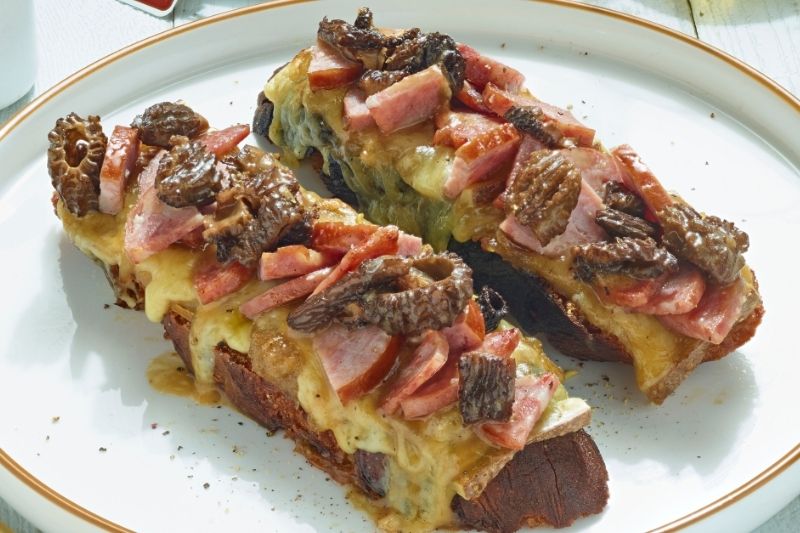 Croûte aux morilles Morteau Comté