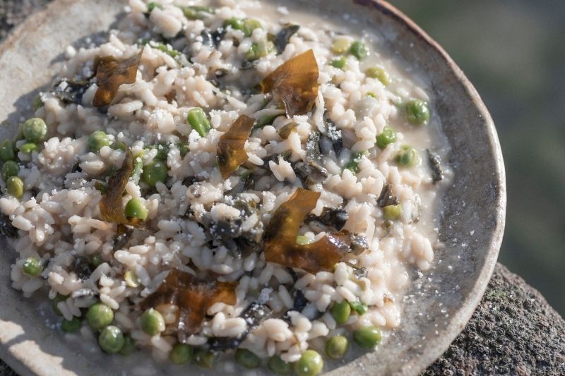Risotto petits pois wakamé