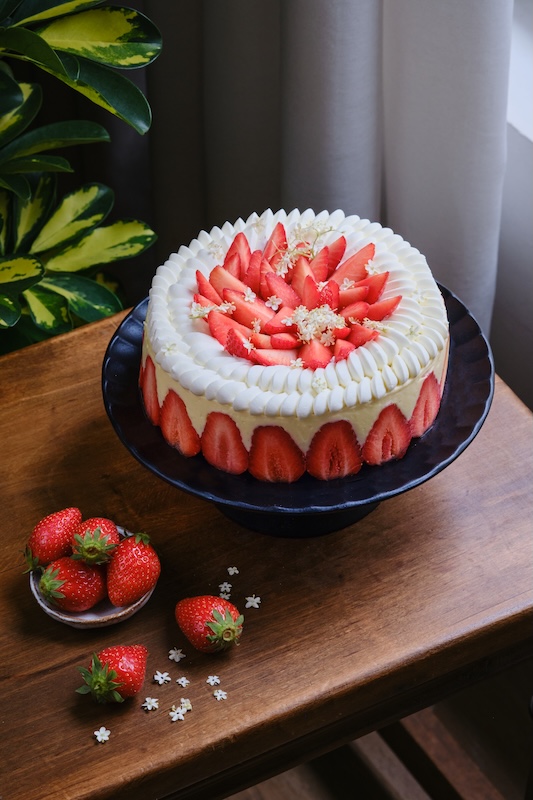 fraisier