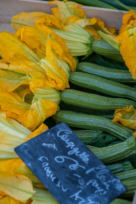 courgette avec fleur