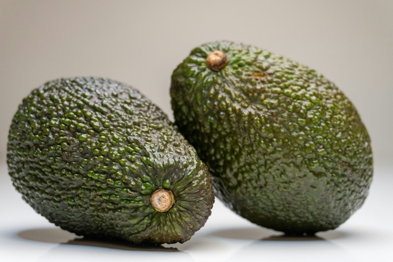 avocat bienfaits variétés recettes