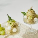Sorbet raisin poire