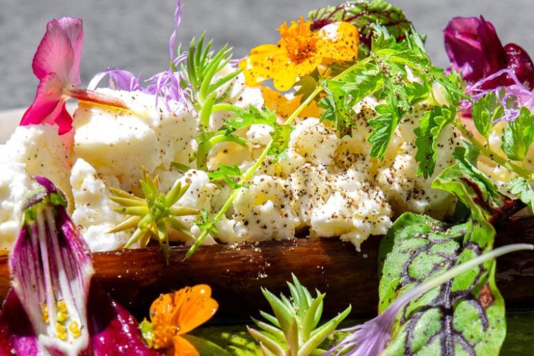 Aubergine confite et crème de laitue