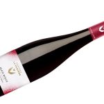 Anjou Rouge Les Saulaies 2023