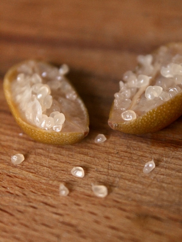 Différentes variétés de citrons