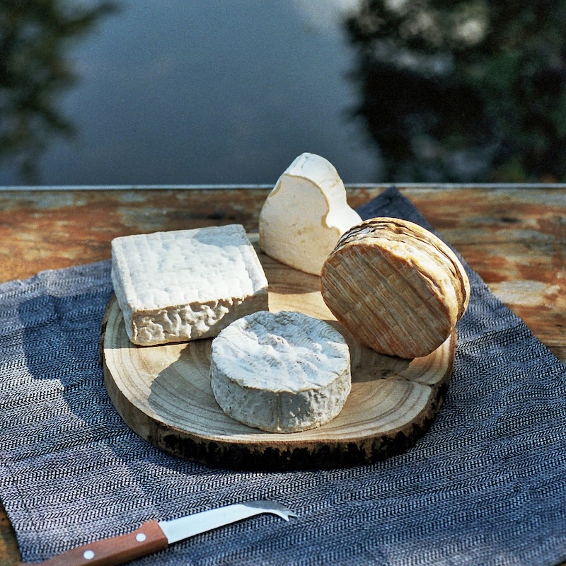 fromages normands à pâte molle et croûte lavée