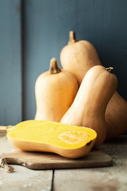 cucurbitacées